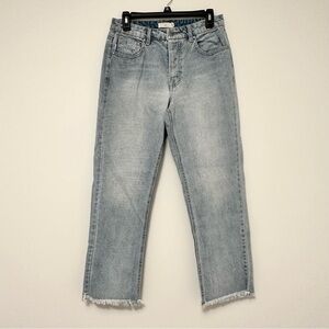 TGLA Light Wash Distressed Denim Jeans Raw Hem size 27 size 4 Boyfriend Straight